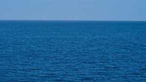 Hrvatske znanstvenice potvrdile uspješnu prilagodbu fitoplanktonskih vrsta na klimatske promjene u Sjevernom Jadranu