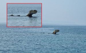 FOTO Što je to izronilo kod Visa?