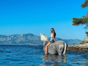 U Splitsko-dalmatinskoj županiji prijavljeno 7 projekata kandidata za priznanje Suncokret