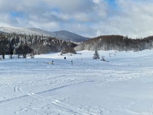 U srijedu prosvjed zbog incidenta na Platku
