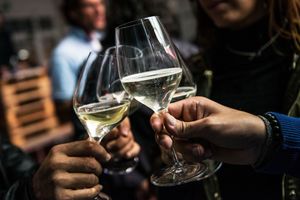 Vinogradari i vinari u Komajima u Konavlima označili početak nove vinogradarske i vinarske godine
