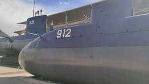 Istarski pomorac 20 godina proveo ispod valova i isto toliko na površini