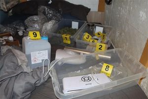 U Cavtatu drogu sadio, sušio, pakirao pa prodavao po širem dubrovačkom području