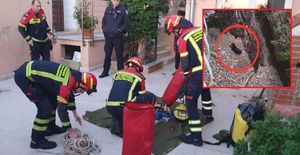 Rovinjski vatrogasci spasili psića iz provalije