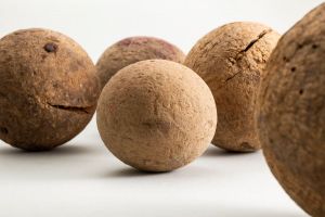 BOĆANJE Tradicija, druženje i fizička aktivnost u jednom