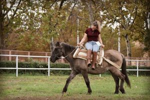 DALMATINSKI BUŠAK Danas na području Dalmacije živi još samo 30-ak jedinki