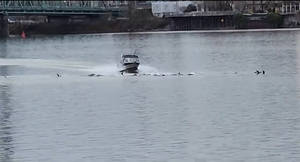 VIDEO Ribarski brod projurio kroz skupinu morskih lavova