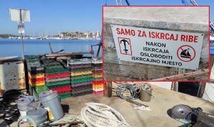 Ukinute luke za iskrcaj ribe u Sjevernoj luci Split i Omišlju, a dodane 4 nove