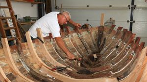 Odumiranje struke kalafata