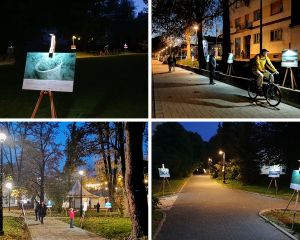 MORSKI PUT Izložba na saljskoj rivi posvećena moru