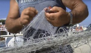 Produženi rokovi za Zahtjeve za isplatu za 5 mjera potpore ribarima i uzgajivačima