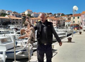 FOTO/VIDEO Ostima u saljskom portu ulovio hobotnicu od 11,10 kg!