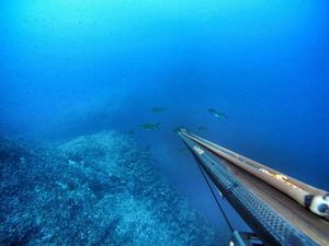 Najavljen Otvoreni kup otoka Pašmana u podvodnom ribolovu uz veliku ribarsku feštu