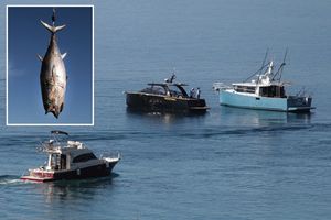 Lov na velike ribe u Orebiću