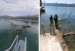 Ovo stablo je bilo velika opasnost na plovnom putu - Znate li koga treba zvati u ovakvim situacijama?