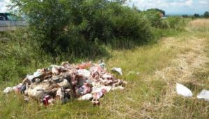 Trojac u zaleđu Zadra uhvaćen u nepropisnom bacanju klaoničkog otpada u prirodu