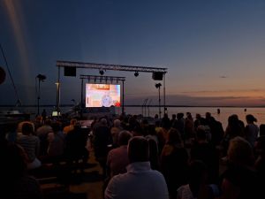 DANI POMORSTVA U VRSIMA Panel rasprava: "Pomorstvo - jučer, danas, sutra"