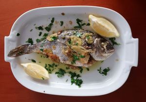 ZEMLJA GURMANIJA Orada u karti