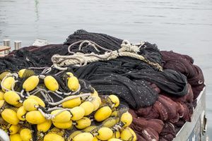 Važna obavijest za plivarice i koće: "Dostavite dokumente za potpore zbog privremene obustavu ribolova"