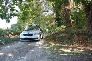 Vozač kod Umaga sletio s ceste s pet migranata, pa pobjegao