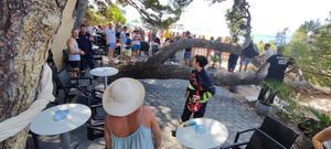 U Baškoj Vodi palo stablo na plažu, ozlijeđene četiri osobe!