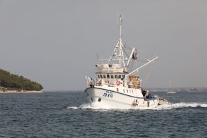 Državni zavod za statistiku: Ribara je sve manje, a smanjuje se i ulov ribe!