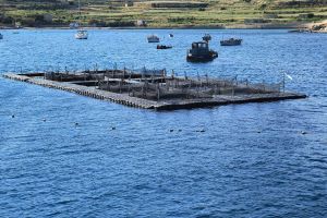 Uprava ribarstva prikuplja društveno-gospodarske podatke u akvakulturi i preradi ribe za 2022. godinu