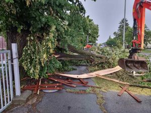 NARANČASTI METEOALARM Po Rijeci padaju stabla, ima oštećenih krovova, otpuhan gumenjak na Krku!