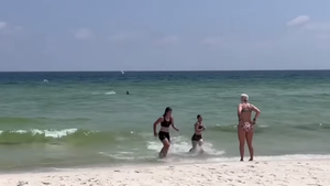 VIDEO Dramatična snimka morskog psa - U plićaku plivao prema kupačima