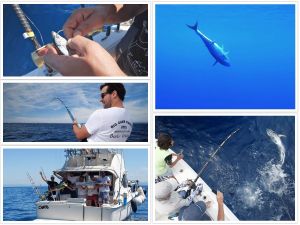 FOTO Drugi ribolovni dan Big game Kaštela: "Stoka tune ima izobilju!"