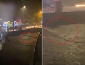 VIDEO Kiša isprala i splitske fekalije: "U kantunu luke toliko smrdi da ni gas-maska ne bi pomogla!"