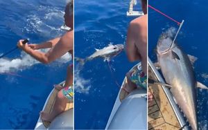 VIDEO Jedan od najbogatijih Srba u hrvatskim vodama zatukao tunu i time se hvali u srpskim medijima!