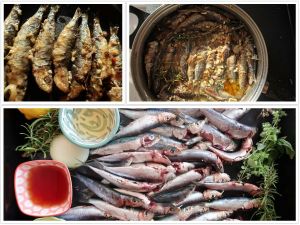 ZEMLJA GURMANIJA Hraniteljica srdela