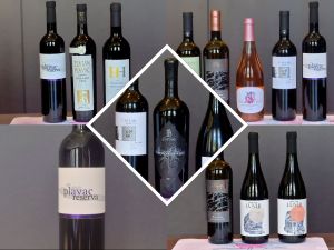 Održano 5. ocjenjivanje vina otoka Hvara u okviru 71. Fešte vina u Jelsi