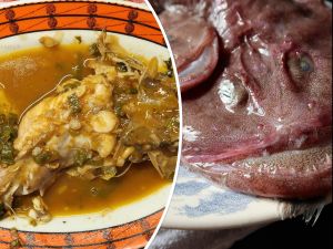 ZEMLJA GURMANIJA Grdobina - Grda lipota s kapulicom mladom