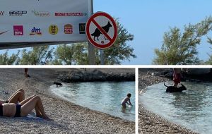 Postoje dva znaka za zabranu kupanja psima na splitskoj plaži, a vlasnik doveo pse među djecu