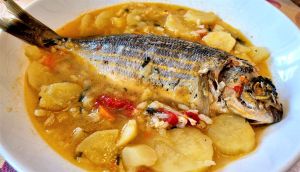 ŽELINA KUŽINA Salpa na gregadu