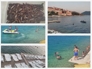 NEUM 2 Suživot s kreativnim kaosom