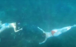 VIDEO MerAdria "Sirene" očistile podmorje Lošinja