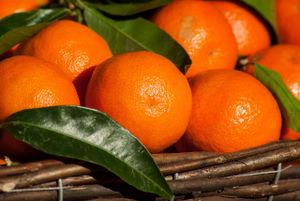Troškove proizvodnje i uzgoja mandarina ne prati otkupna cijena