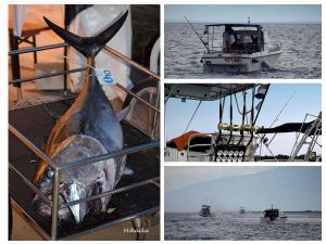 FOTO Između Krka i Murtera samo je Silba: Održano BIG GAME FISHING SILBA natjecanje u lovu na veliku ribu