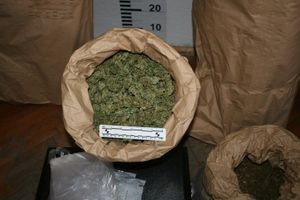 U Makarskoj zaplijenjeno gotovo 6 kilograma marihuane