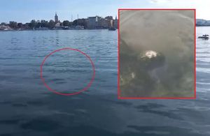 Gejziri fekalija izviru u moru ispred Zadra