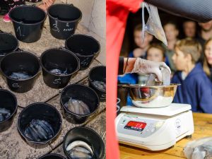 FOTO U Sutivanu na Braču održan peti po redu lignjolov 'JE BILO SRIĆE!?'