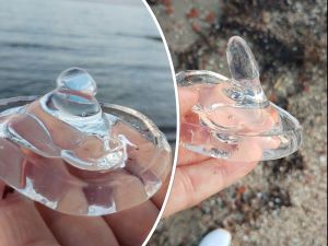 Neobična pojava uočena na plažama oko Nina