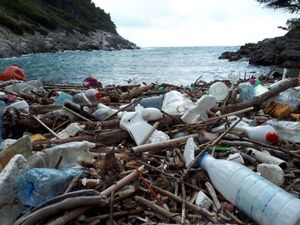 Greenpeace: "Zatražite od svjetskih čelnika da podrže globalni sporazum o plastici!"