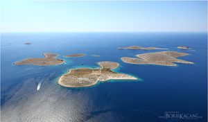 U Prirodoslovnom muzeju u Splitu otvara se Izložba 'Postani čuvar Jadranskog mora'