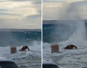 VIDEO Ovom tipu ni jugo ne smeta - Unatoč velikim valovima koji metu rivu, radi sklekove!