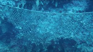 VIDEO: KAKO MALI RIBARI  ZLOUPOTREBLJAVAJU KORNATE Gomila odbačenog ribolovnog alata svjedoči neodgovornom ponašanju