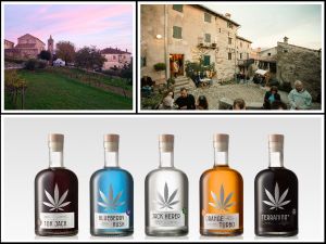 Džinovi istarskog stručnjaka za destilate nastavljaju s osvajanjem nagrada